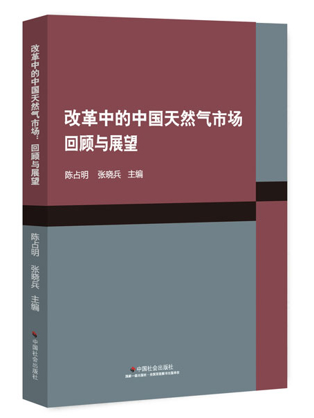 改革中的中国天然气市场：回顾与展望